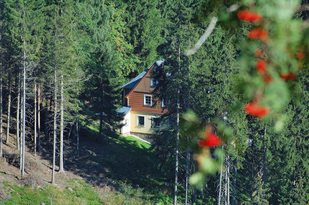 Vila Eden Apartment Pec pod Snezkou Bagian luar foto